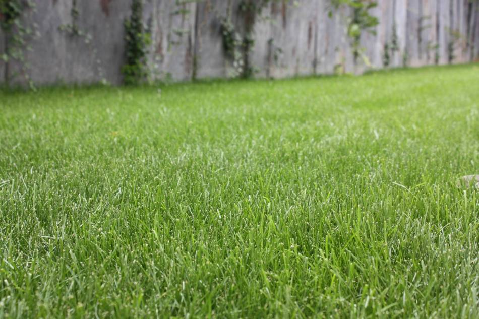 Entretien d'Espaces Verts