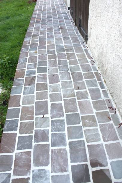 Pavs grs Metissay des Indes (CUPASTONE)